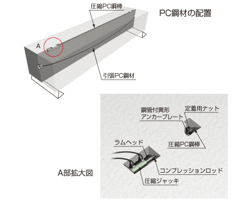 圧縮PC鋼棒の定着要領図